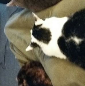 Meet your Posher, April